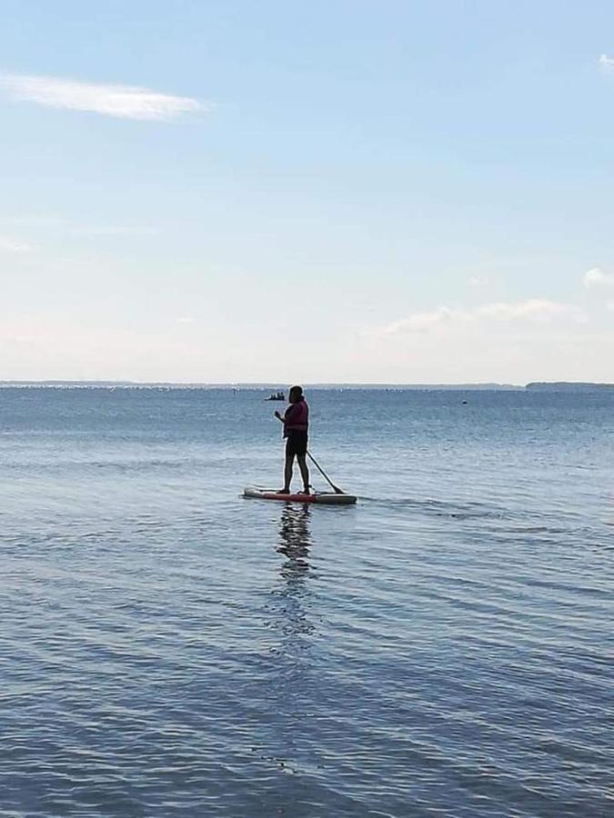FeWo SEEBLICK - Familien - Hunde - strandnah - Ostseeblick - Sauna&Wellness Sierksdorf Eksteriør billede